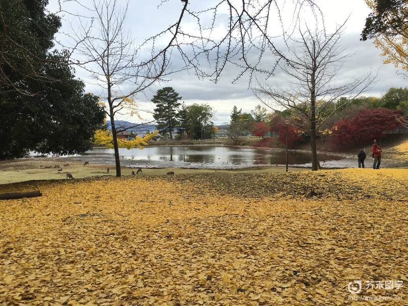 日本关西大学