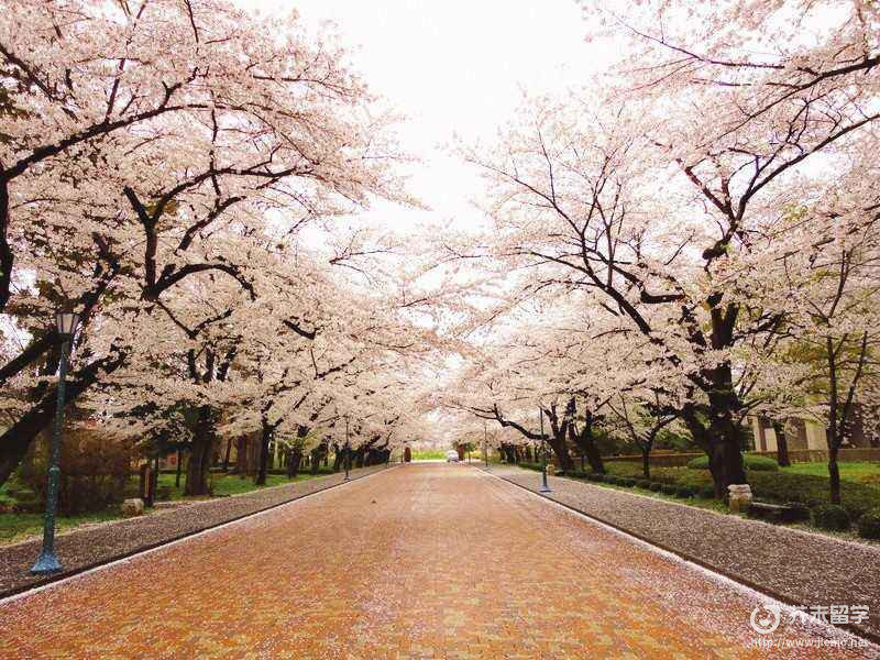 日本研究生考試芥末留學