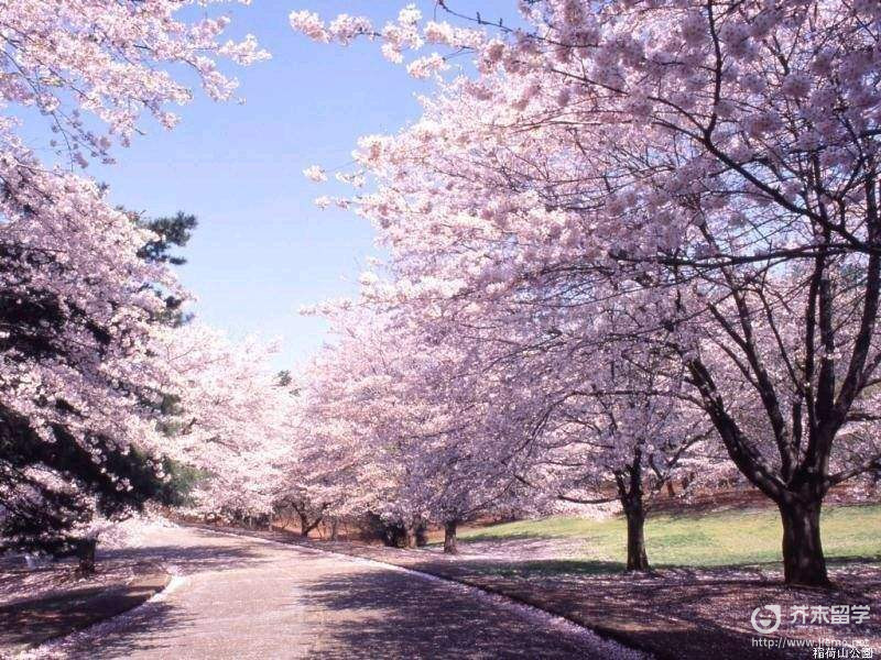 東京工業大學留學費用