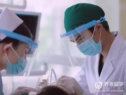 牙科專業留學