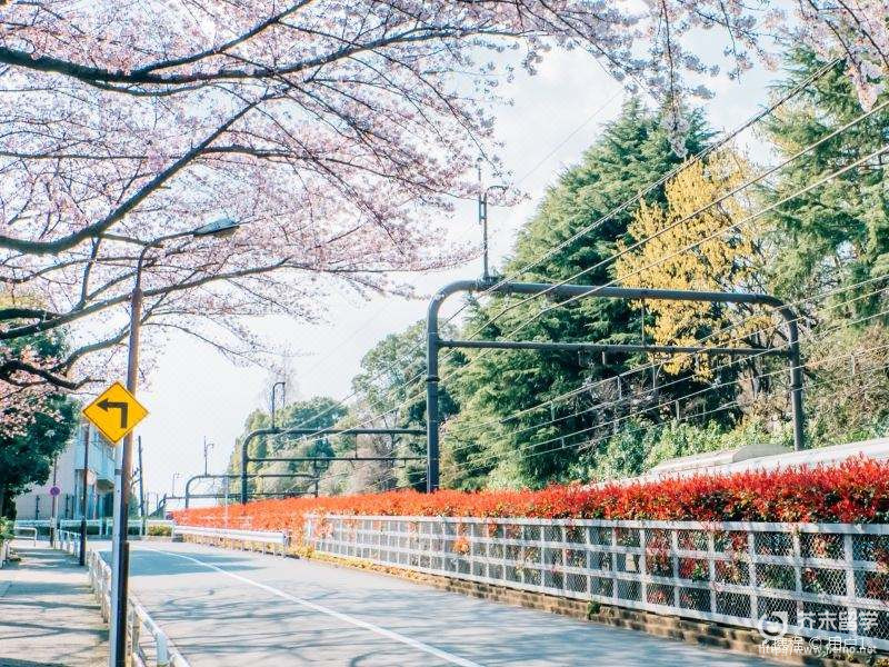 東京藝術大學入學申請條件