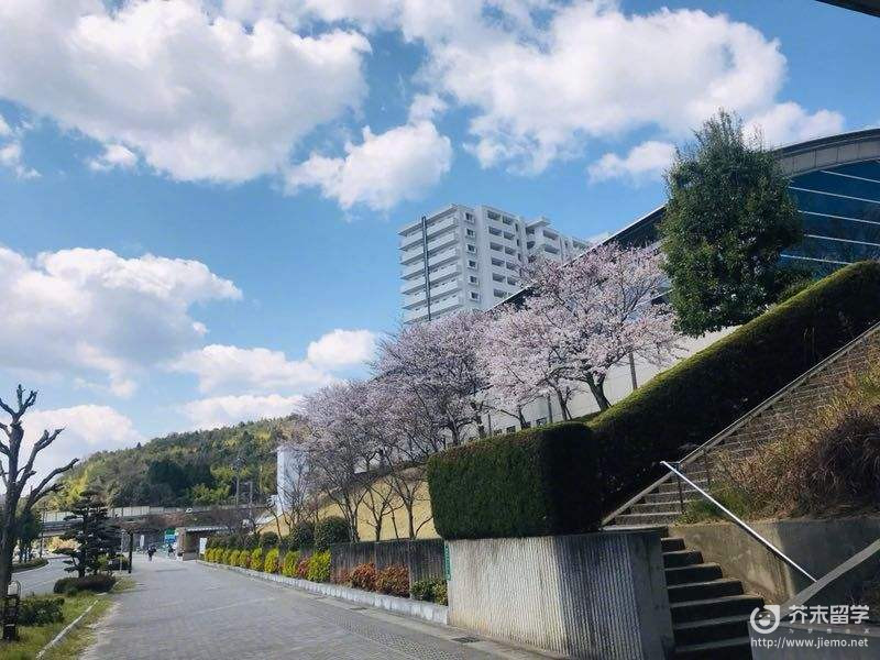 广岛大学学费