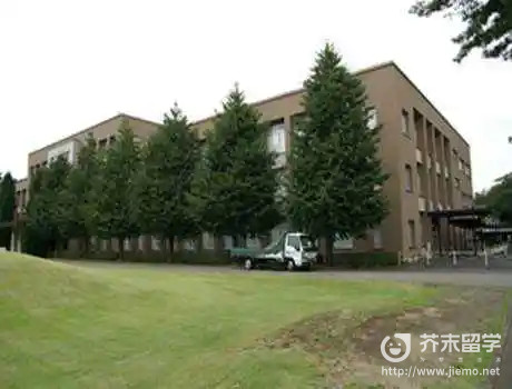 国际基督教大学