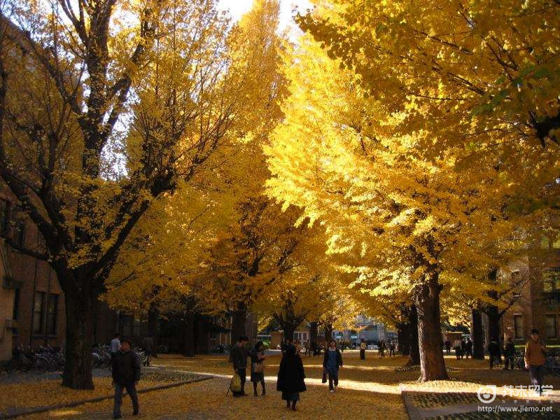 日本理工科大學排行榜