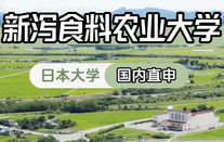 日本留学
