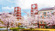 日本留學