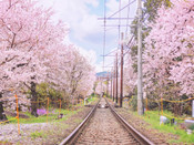 日本北海道