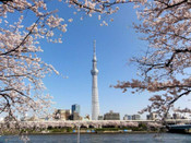 日本留學