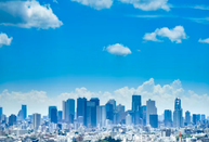 日本SGU英文項目