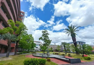 日本留学