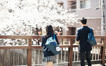 芥末留學