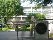 芥末留学