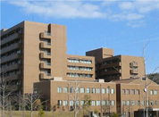 广岛大学