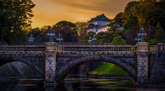 芥末留学