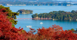 日本留学