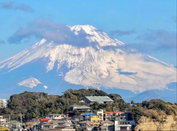 日本留学