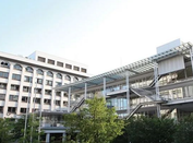 日本大學