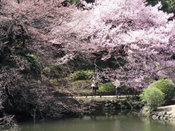 芥末留學(xué)