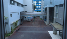 学校法人长沼学校