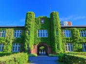 日本大學