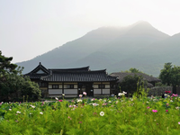 芥末留学