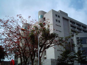 日本留學