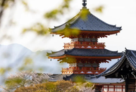 日本留學