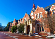 新西兰大学