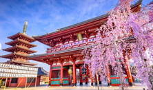 2026日本留学语言学习黄金计划：按周规划+免费资源