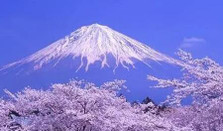 芥末留學