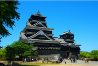 日本留学