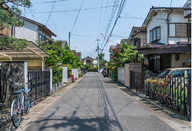 日本留学