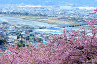 神奈川縣
