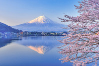 日本留學