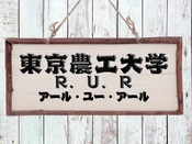 芥末留學