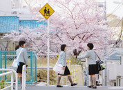 芥末留學