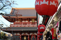日本留学