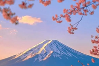 芥末留學(xué)
