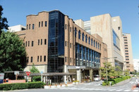 芥末留学