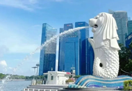 新加坡