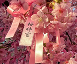 芥末留學(xué)