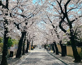 芥末留學(xué)