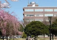 日本大學