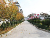 美國留學(xué)