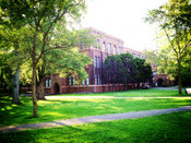 日本大學