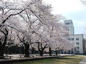 芥末留学