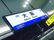 芥末留學