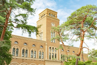 日本大學排名