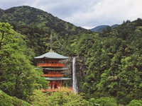 日本留学