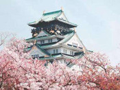 芥末留學